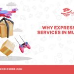 Why Express Courier Services in Mumbai Are Worth It