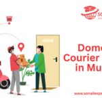 Domestic Courier Service in Mumbai