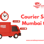 Courier Services Mumbai to USA